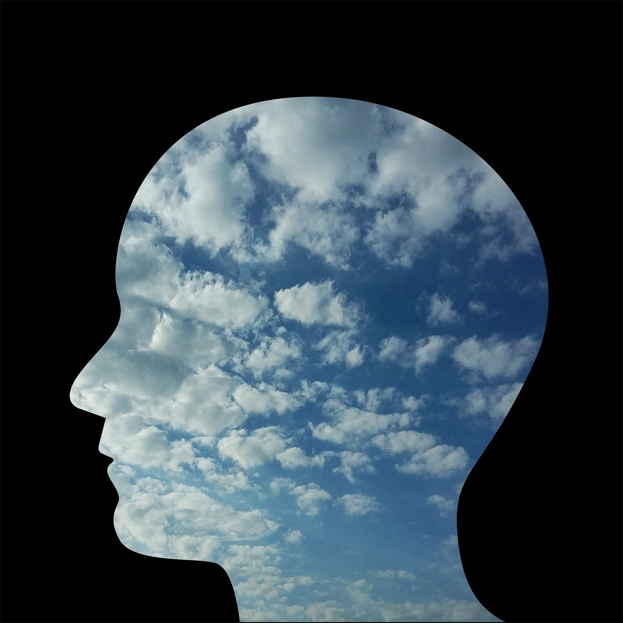 head, man, person, people, nature, face, profile, loneliness, happiness, thoughts, sky, clouds, anxiety, confusion, mental confusion, psychology, to think, emotion, thought, mind